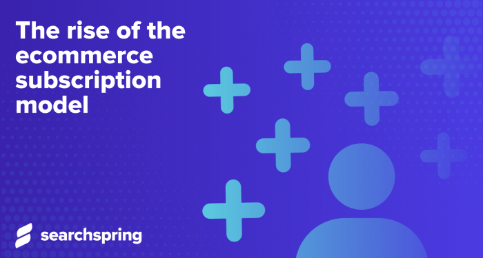 A Comprehensive Guide to the Rise Of Subscription Business Models in E ...